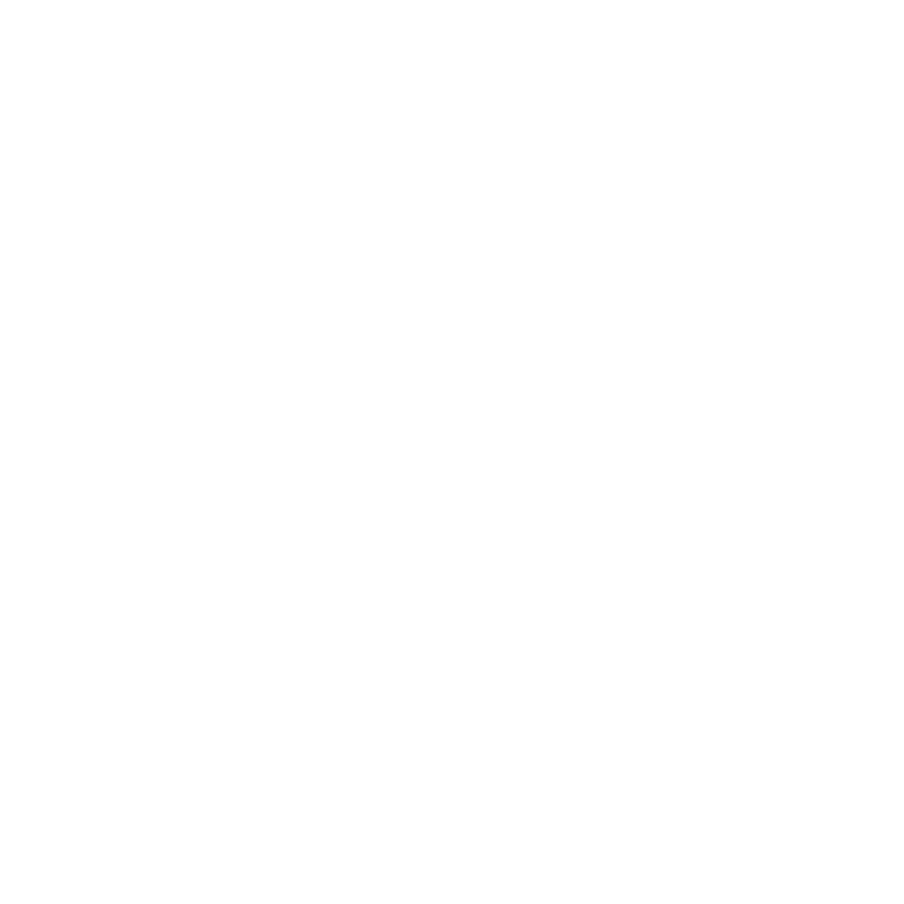 SKOT White logo